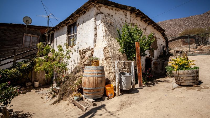 Pisquera-Chanaral-de-Caren-1-min