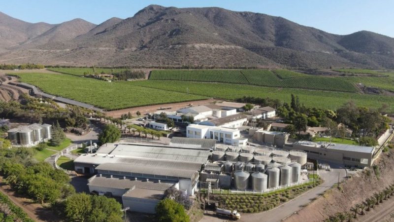 Pisco-Chileno-MalPaso-1024x683