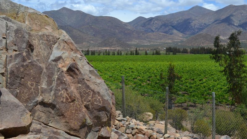 enoturismo-siete-brujas-scaled